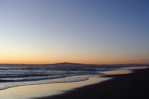 huntington dog beach