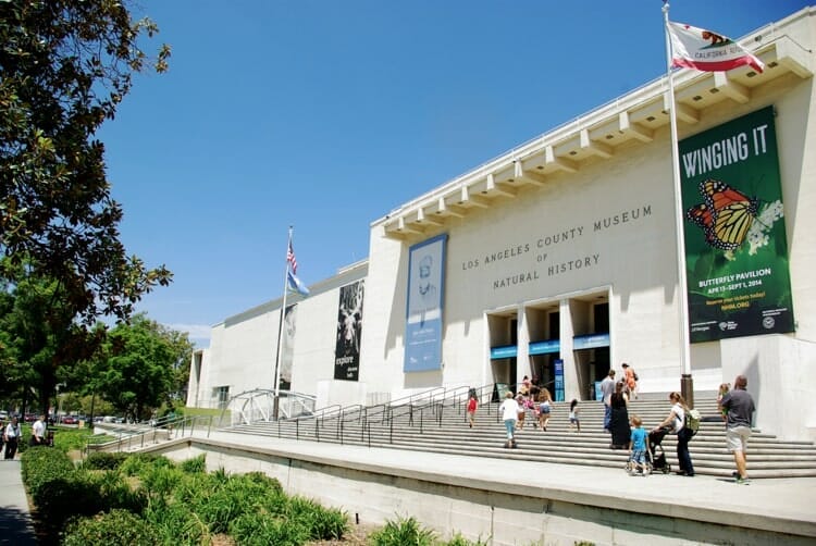 national history museum of los angeles