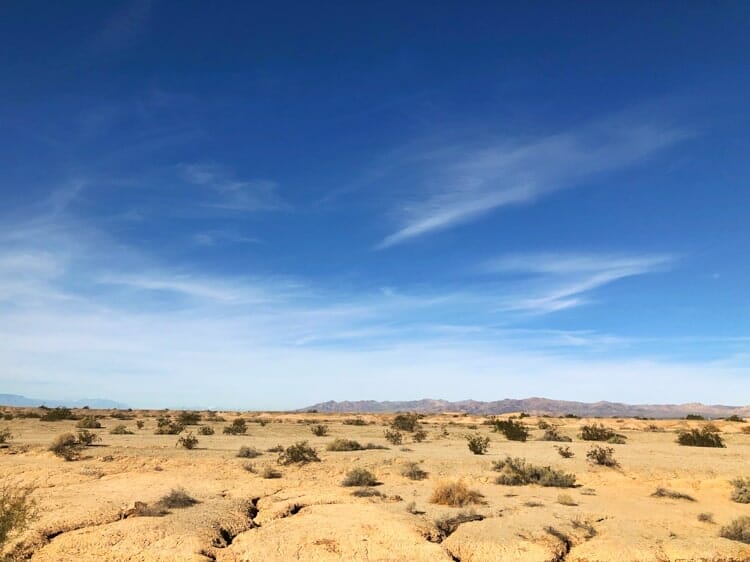 anza borrego desert state park