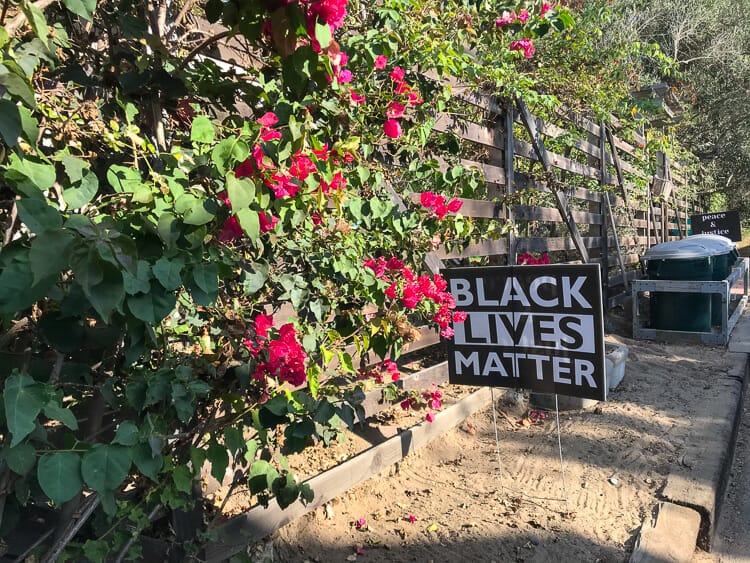 black lives matter sign del mar
